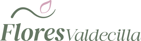 Floristería en Santander | Ramos y Centros Florales · Flores Valdecilla